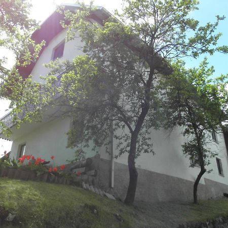 Pr' Hribar Leilighet Zgornje Gorje Eksteriør bilde