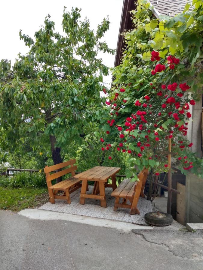 Pr' Hribar Leilighet Zgornje Gorje Eksteriør bilde
