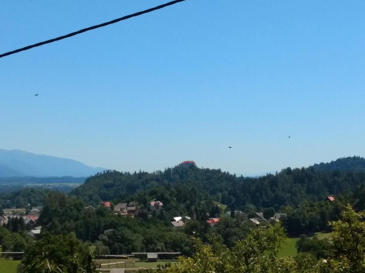 Pr' Hribar Leilighet Zgornje Gorje Eksteriør bilde
