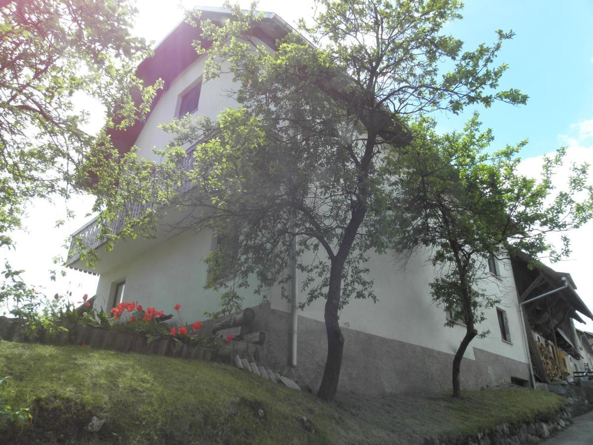 Pr' Hribar Leilighet Zgornje Gorje Eksteriør bilde
