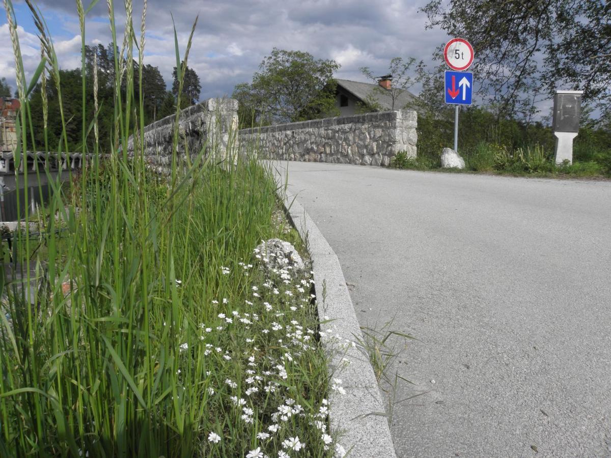 Pr' Hribar Leilighet Zgornje Gorje Eksteriør bilde